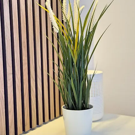 Pistenblick Apartment Winterberg