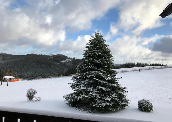 Pistenblick Apartament *